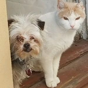 Meet your Posher, Valerie